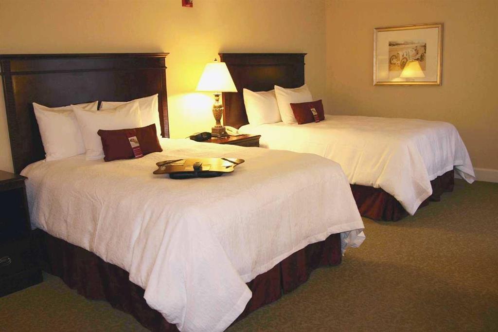 Hampton Inn & Suites Birmingham-Downtown-Tutwiler Room photo